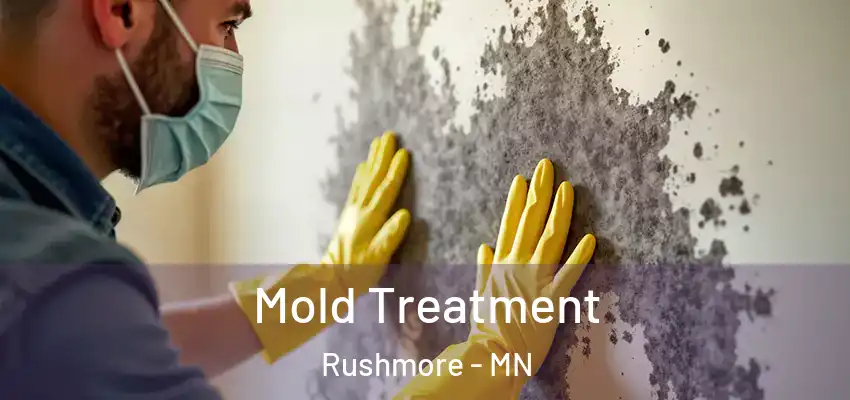  Mold Treatment Rushmore - MN