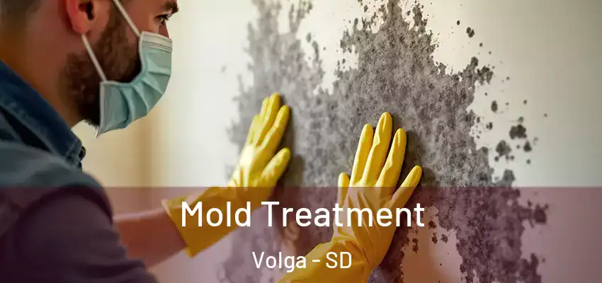  Mold Treatment Volga - SD