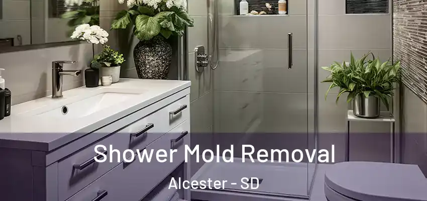  Shower Mold Removal Alcester - SD