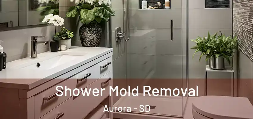  Shower Mold Removal Aurora - SD