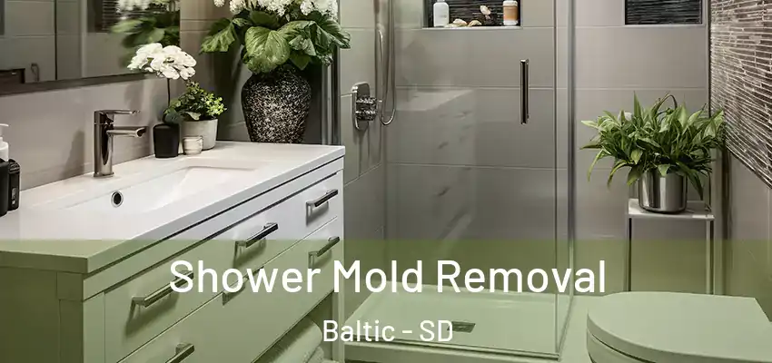  Shower Mold Removal Baltic - SD