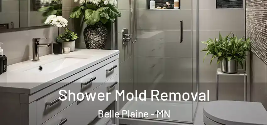  Shower Mold Removal Belle Plaine - MN