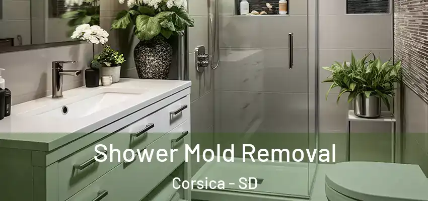  Shower Mold Removal Corsica - SD