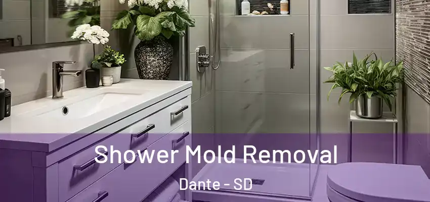  Shower Mold Removal Dante - SD