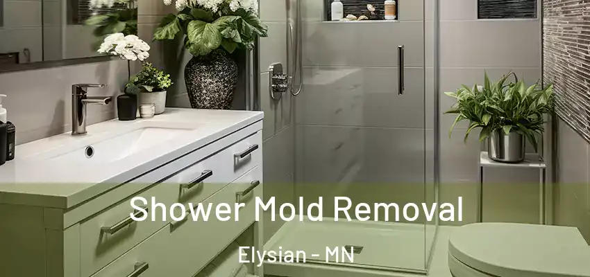  Shower Mold Removal Elysian - MN