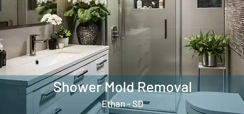  Shower Mold Removal Ethan - SD