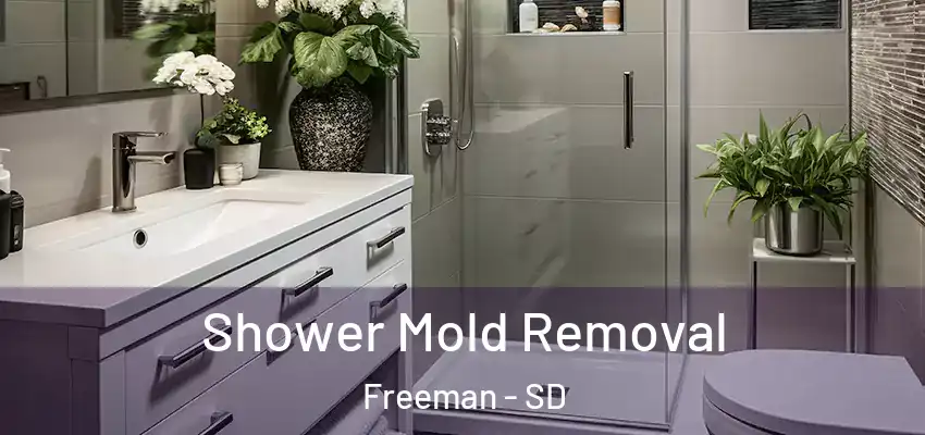  Shower Mold Removal Freeman - SD