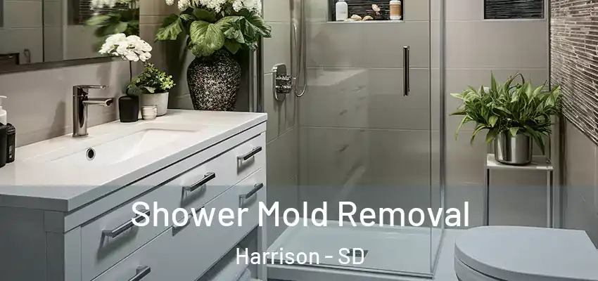  Shower Mold Removal Harrison - SD
