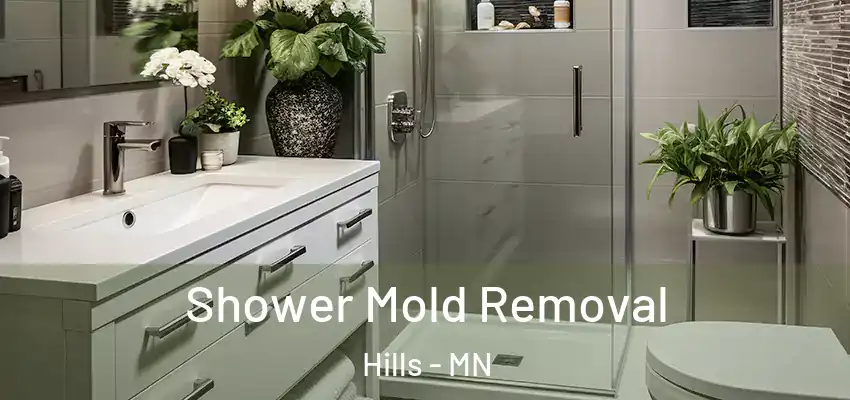  Shower Mold Removal Hills - MN