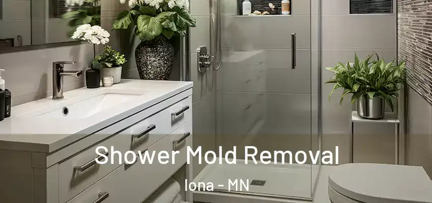  Shower Mold Removal Iona - MN