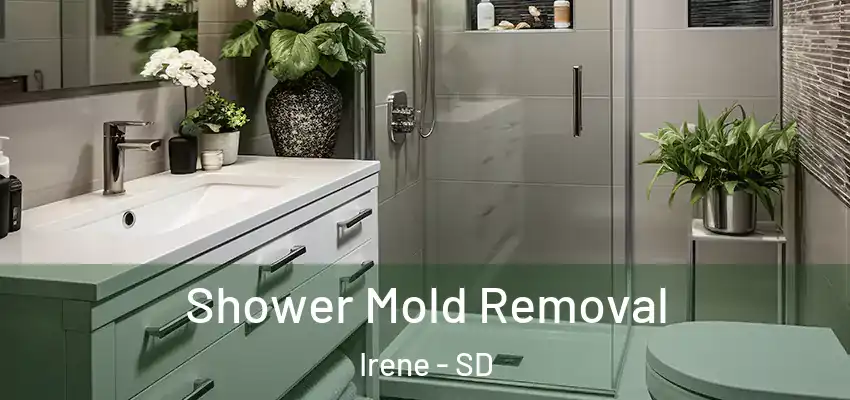  Shower Mold Removal Irene - SD