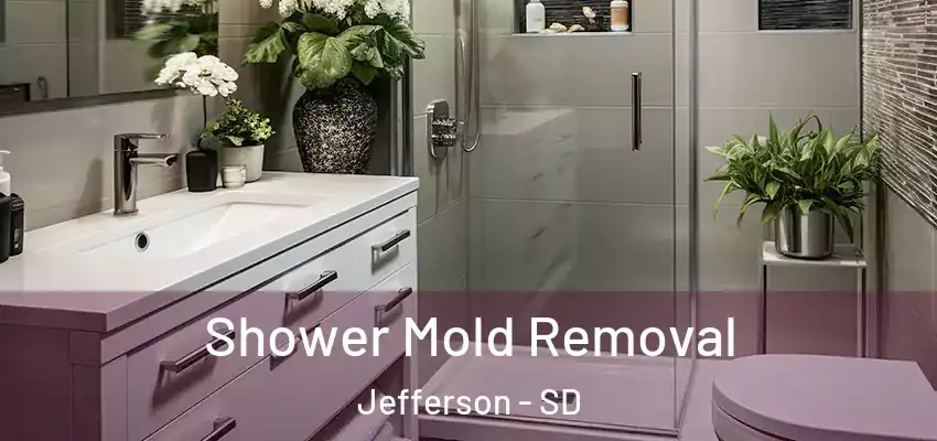  Shower Mold Removal Jefferson - SD