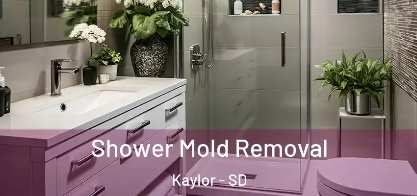  Shower Mold Removal Kaylor - SD