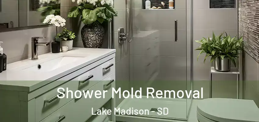 Shower Mold Removal Lake Madison - SD
