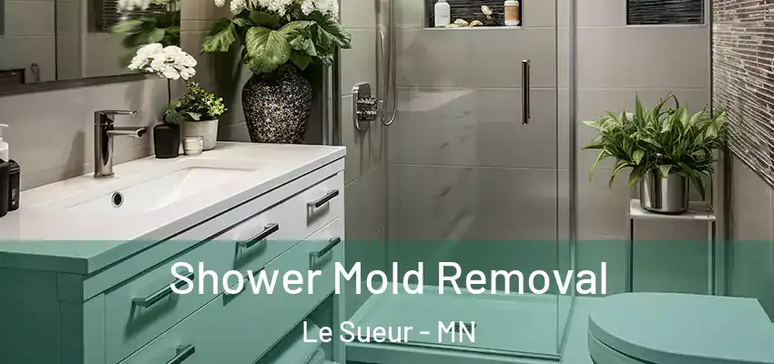  Shower Mold Removal Le Sueur - MN