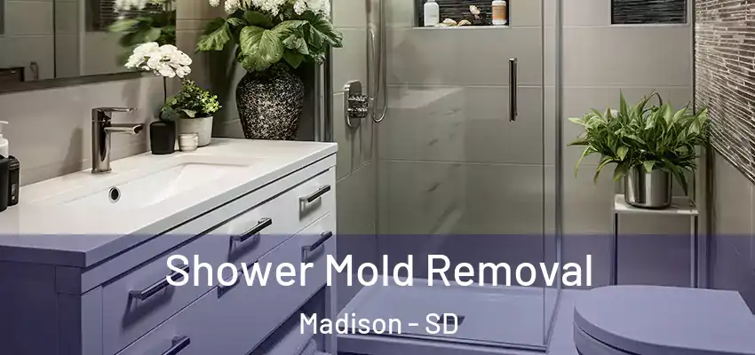  Shower Mold Removal Madison - SD