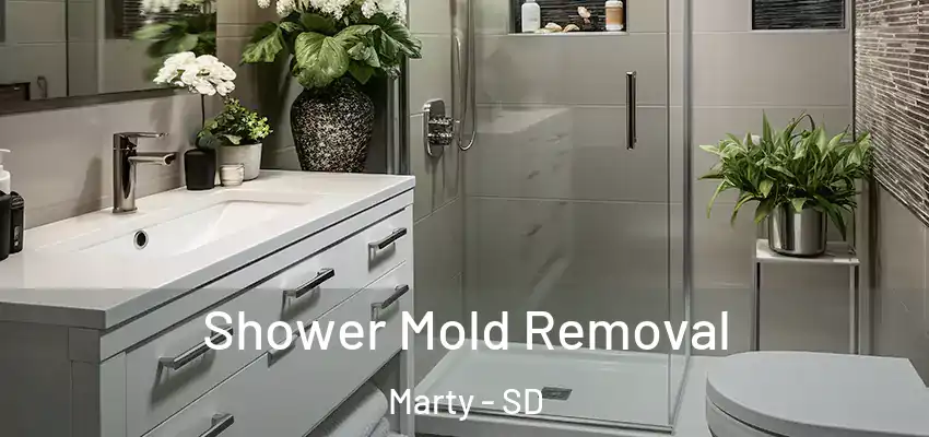  Shower Mold Removal Marty - SD