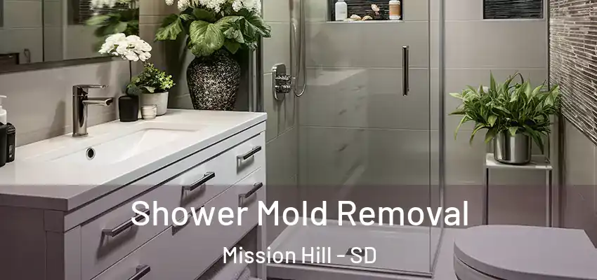  Shower Mold Removal Mission Hill - SD