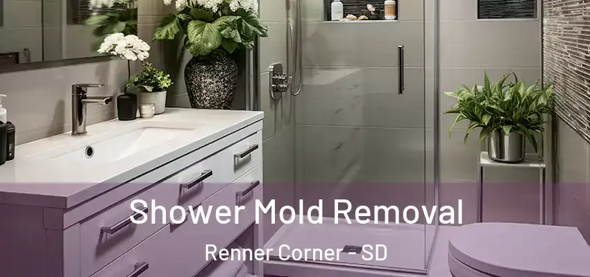  Shower Mold Removal Renner Corner - SD