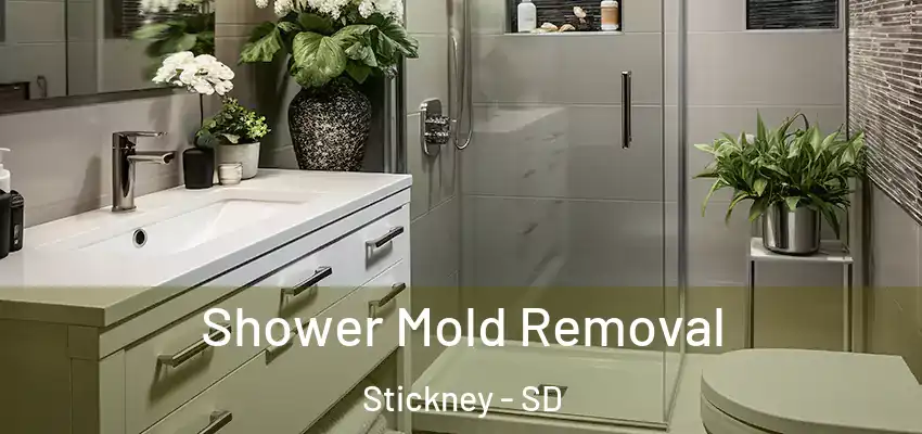  Shower Mold Removal Stickney - SD