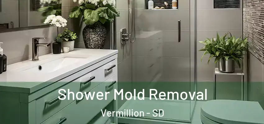  Shower Mold Removal Vermillion - SD