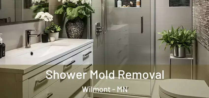  Shower Mold Removal Wilmont - MN